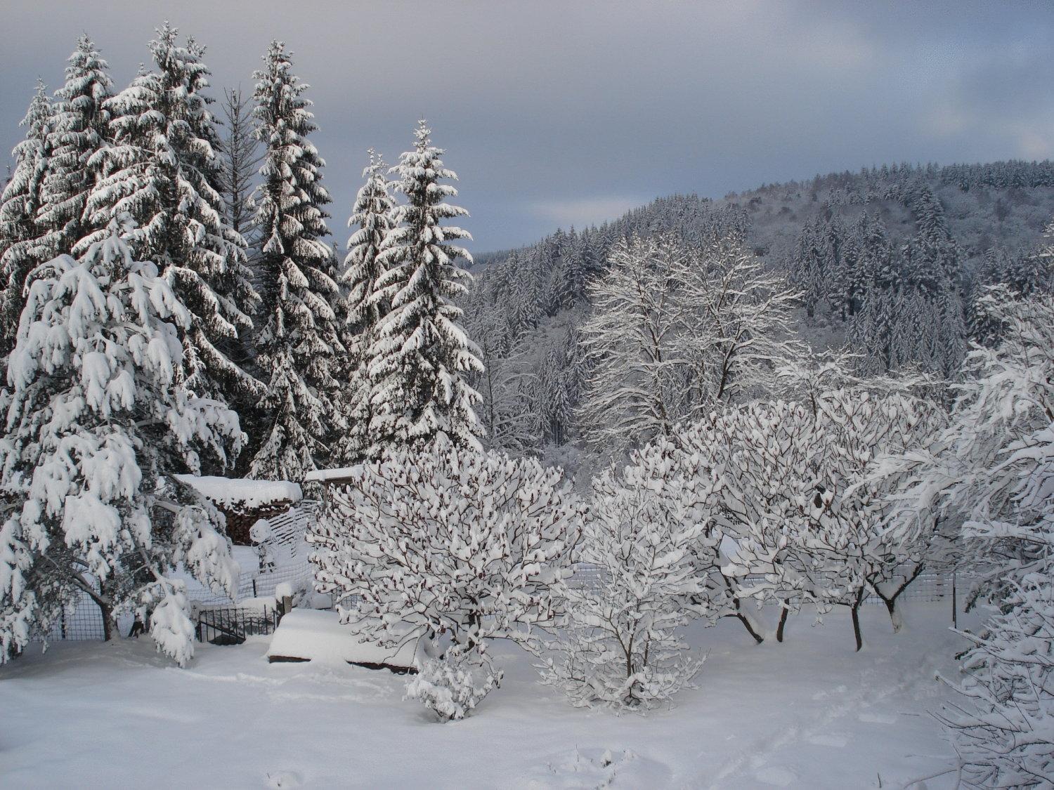 Villa Nelly B. Bouillon Esterno foto